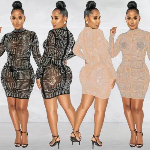 Mesh Turtleneck Long Sleeve Beaded Mini Dress