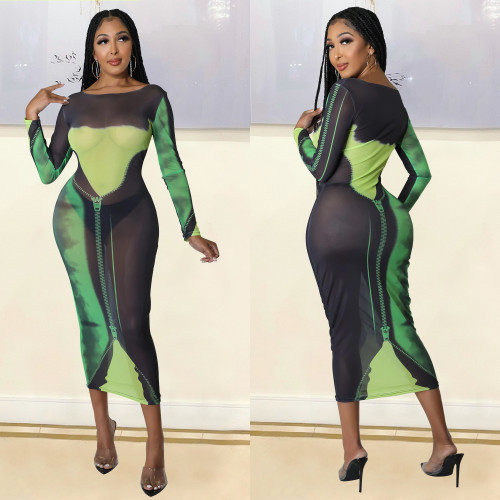 Green Mesh Print Long Sleeve Fitted Long Dress