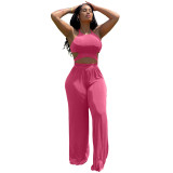 Solid Velvet 2PCS Set Sexy Cut Out Halter Top and Wide Leg Pants