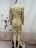 Ruffle V-Neck Long Sleeve Mini Dress