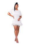 Feather Short Sleeves O-Neck Mini Dress