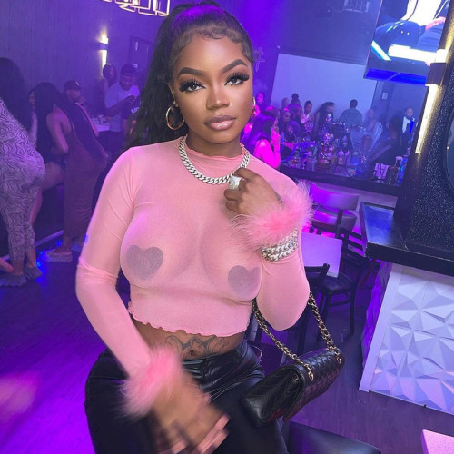 Pink Mesh Round Neck Fur Long Sleeves Crop Top