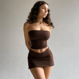 Sexy Solid Strapless Crop Top and Mini Skirt Two Piece Set