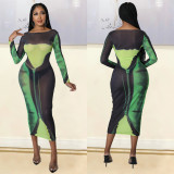 Green Mesh Print Long Sleeve Fitted Long Dress