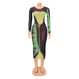 Green Mesh Print Long Sleeve Fitted Long Dress