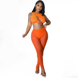 High Waist Tight Mesh See Through Pants