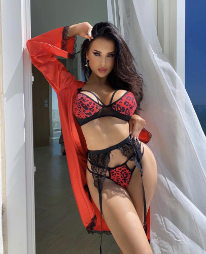 Sexy Red Leopard Lace Lingerie Set for Women