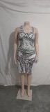 Print Plus Size Sleeveless Bodycon Dress