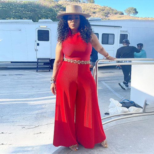 Red Sleeveless Plus Size Wide Leg Jumpsuit