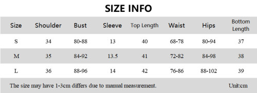 Solid Button Short Sleeve Shirt Crop Top High Waist Skirt 2PCS Set