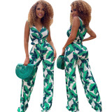 Trendy Print V-Neck Wide Leg Ladies Jumpsuit