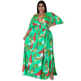 Plus Size Print Half Sleeve Deep V-Neck Print Multicolor Dress