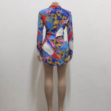 Fashion Print Multicolor Slim Fit Curve Hem Shirt Dress