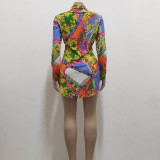 Fashion Print Multicolor Slim Fit Curve Hem Shirt Dress