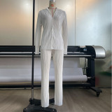 Solid Long Sleeve Two Piece Set Turndown Collar Button Shirt & Pants