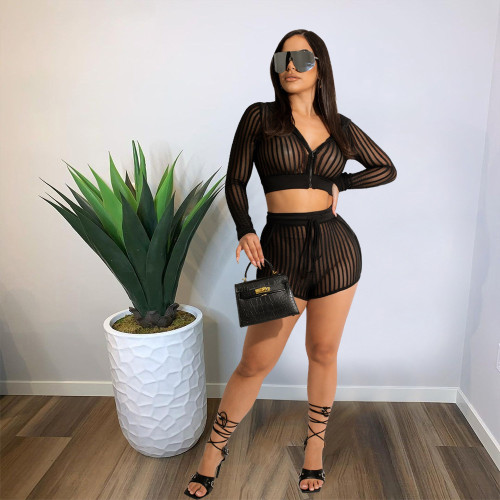 See Through Striped Mesh Hooded Zipper Two Piece Shorts Set