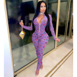 Sexy See-Through Mesh Butterfly Print Zipper Full Sleeve Tight Jumpsuit