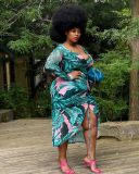 Plus Size Tropical Print Long Sleeve Drawstring Midi Dress