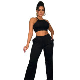 Solid Ribbed Camisole Crop Top Match Pants Two Piece Set