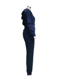 Solid Long Sleeve Hooded Short Jacket and Pants Casual 2PCS Set