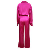 Women's Silky Long Sleeve Shirt and Pants Two Piece Set