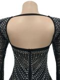 Ladies Rhinestone Mesh See-Through Open Back Party Long Evening Dress