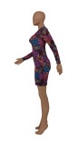 Multicolor Feather Print Irregular Zipped Bodycon Dress