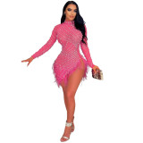 Sexy Mesh See Through Beaded Feather Trim Party Dress for Women