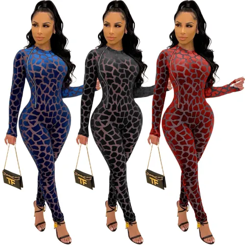 Sexy Mesh Zipped See Through Bodycon Jumpsuit