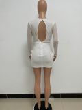Sequin Long Sleeve Cowl Neck Bodycon Dress