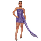 Sexy Sequin Strapless Bodycon Dress