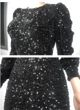 Party Sequin Bodycon Dress with Long Sleeve