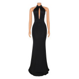 Sexy Backless Halter Keyhole Long Evening Dress(without gloves)