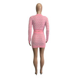 Fashion Knitting Long Sleeve Crop Top Slim Skirt Chic Sweater Two Piece Set