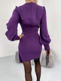 Solid Long-Sleeve Chic Dress