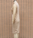 Mesh Patchwork Long Sleeve V-Neck Midi Bodycon Dress