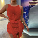 Spring See-Through Mesh Sexy Slim Bodycon Dress