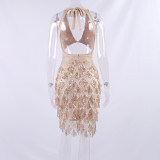 Halter Neck Sexy V-Neck Cut Out Tassel Sequin Open Back Party Dress