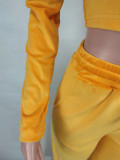 Winter Velvet Sports Zipped Crop Jackets and Loose Pants Two-Piece Set