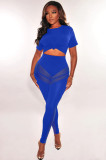 Sexy Fashion Mesh Insert Solid Two Piece Pants Set