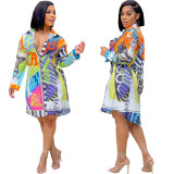 Casual Print Multicolor Long Sleeve Shirt Dress