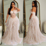 Solid Strapless Mesh Faux Fur Trim See Through Maxi Dress