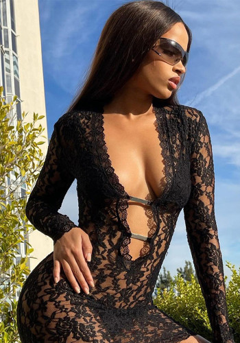 Black Lace Sexy See Through Plunge Long Sleeve Bodycon Dress