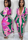 Print Plunge Long Sleeve Ruched Maxi Dress