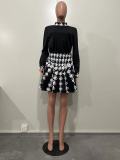 Trendy Print Long Sleeve Pleated Skirt Two Piece Set
