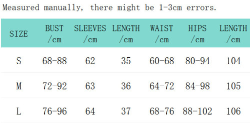 Print Mesh Long Sleeve Crop Top and Long Skirt 2PCS Set
