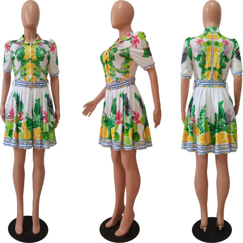Spring Print Short Sleeve Pleated Dress