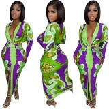 Print Plunge Long Sleeve Ruched Maxi Dress