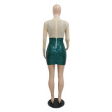 Long Sleeve Sequin Rhinestone Mesh Patchwork Club Dress