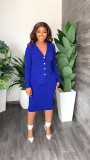 Chic Career Two Piece Skirt Set Solid Office Skirt Suit